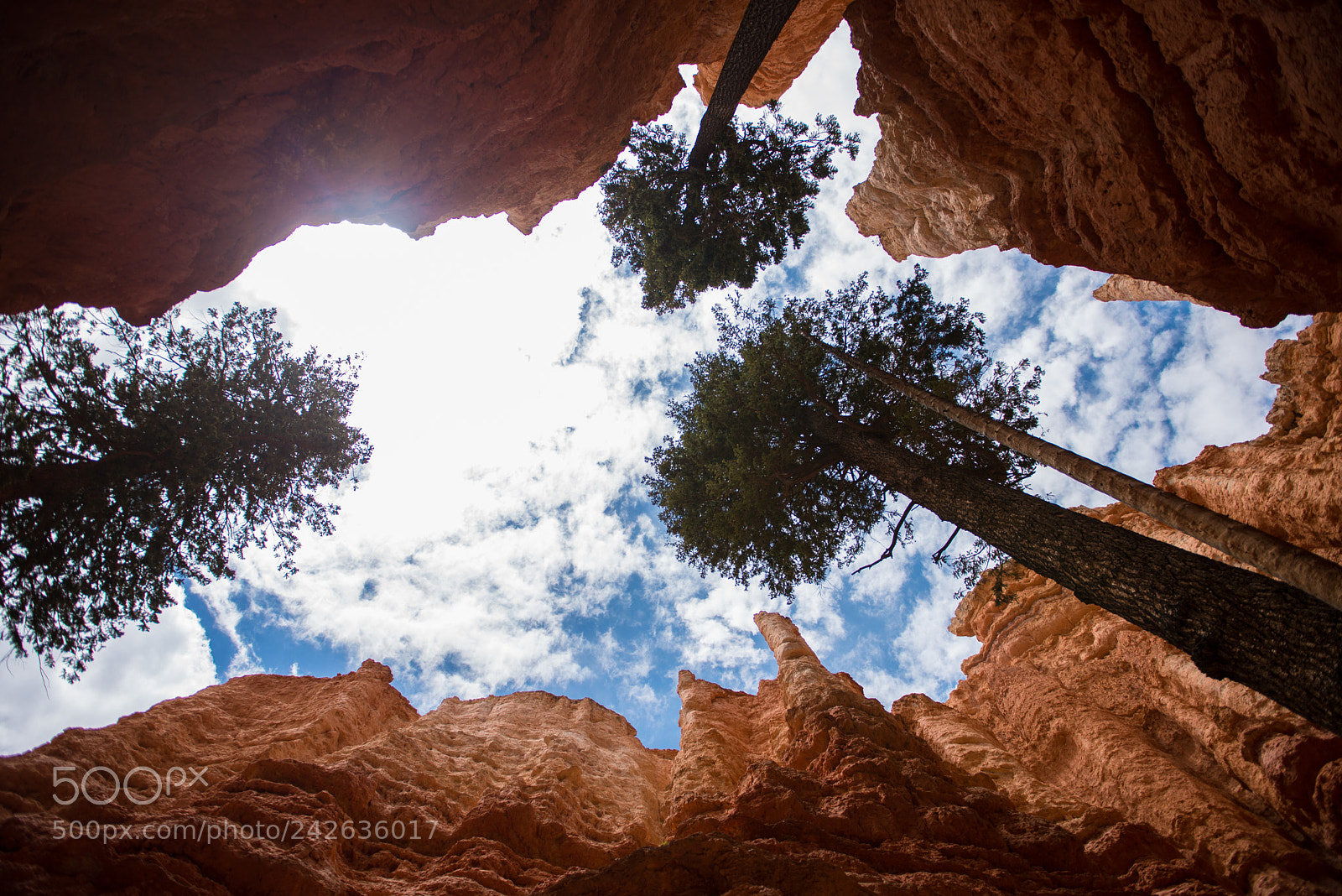 Nikon D610 sample photo. Bryce canyon photography