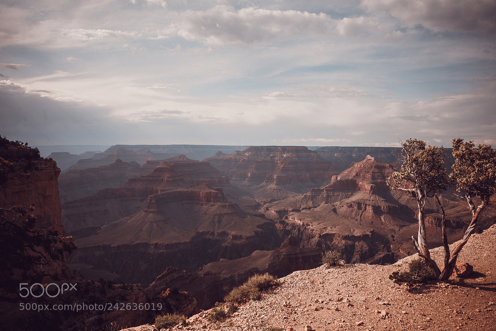 Nikon D610 sample photo. Grand canyon photography