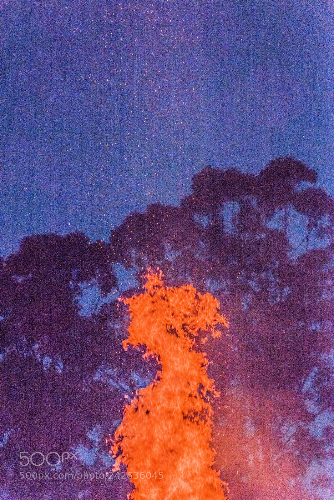 Nikon D610 sample photo. Coal seam fire photography