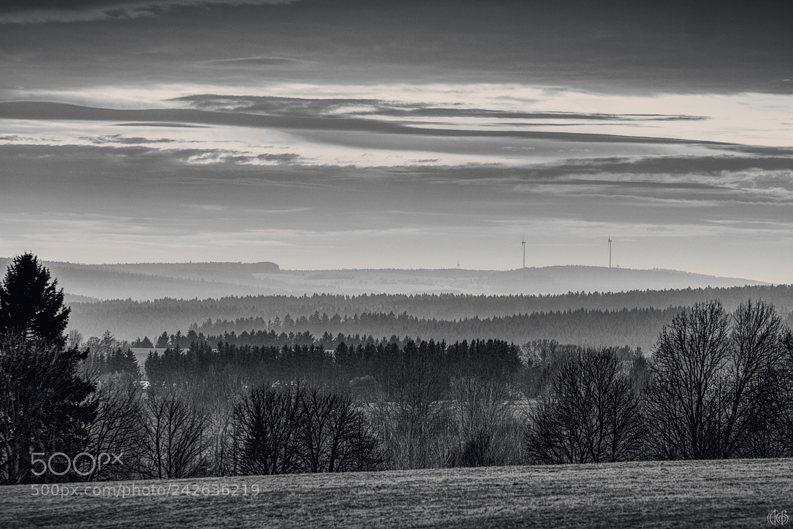 Canon EOS 750D (EOS Rebel T6i / EOS Kiss X8i) sample photo. Sundown over winter forest photography