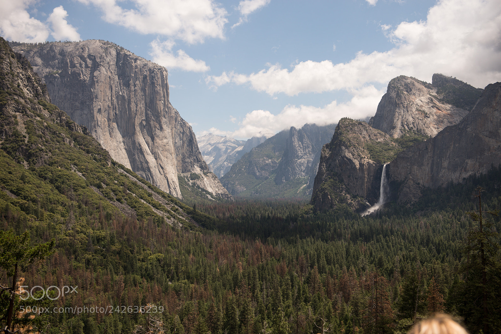 Nikon D610 sample photo. Yosemite valley photography