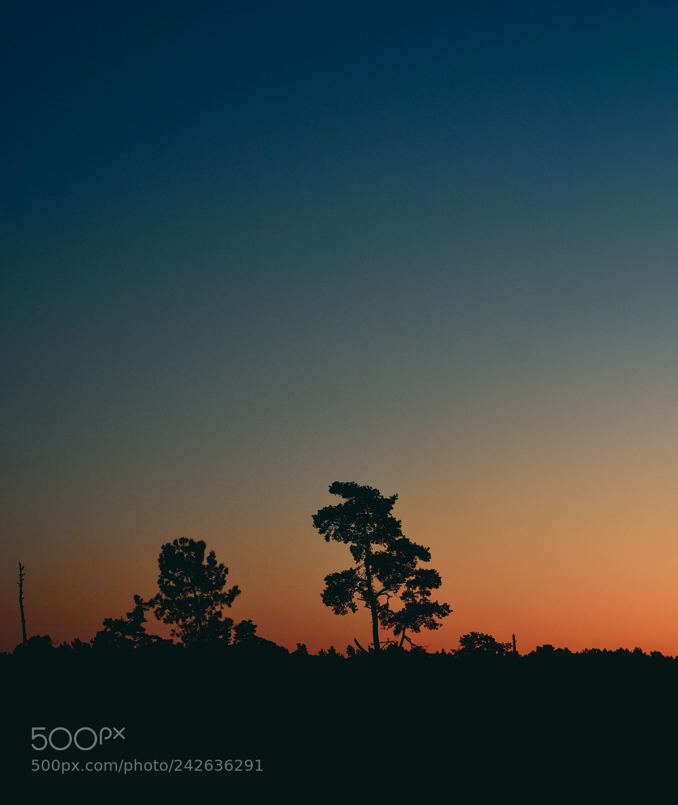 Nikon D7200 sample photo. Sunset photography