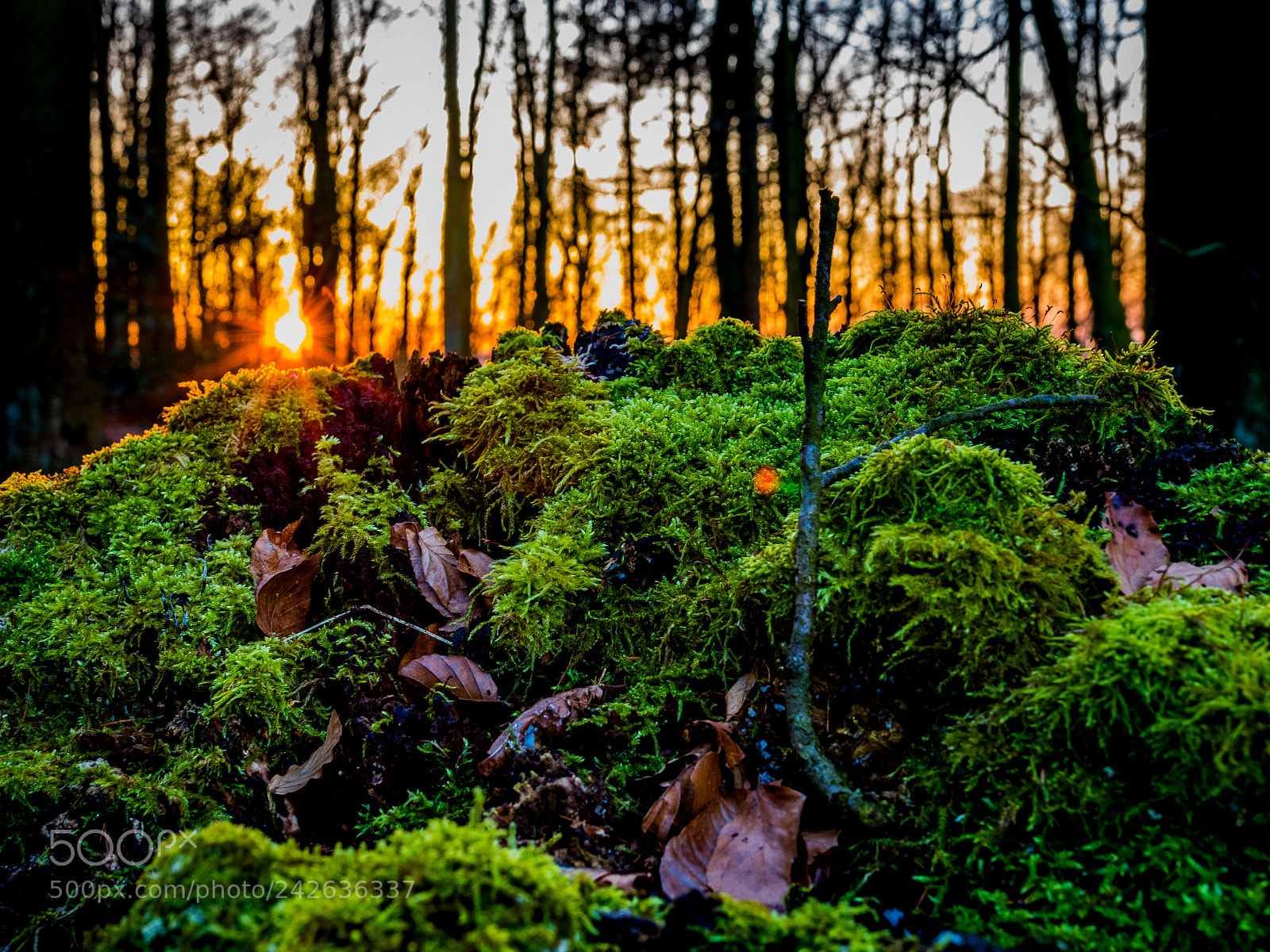 Nikon D810 sample photo. Day ends photography