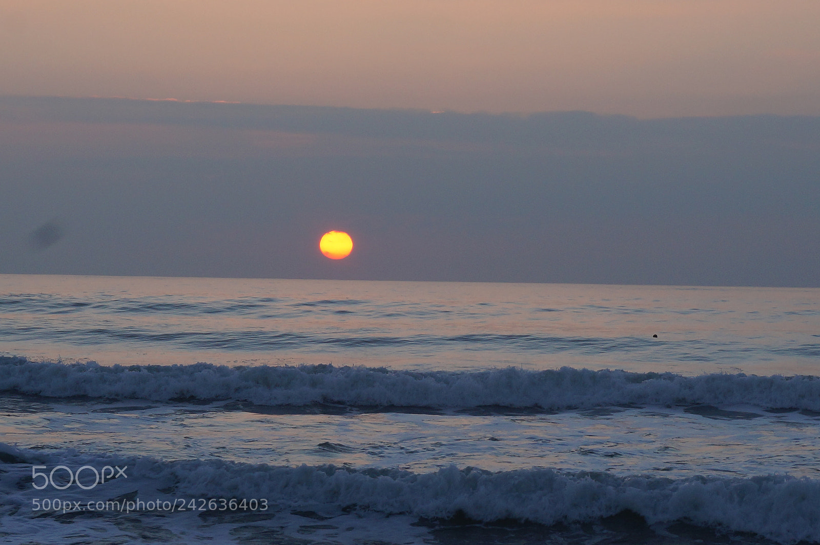 Sony Alpha NEX-3N sample photo. Coucher du soleil du photography
