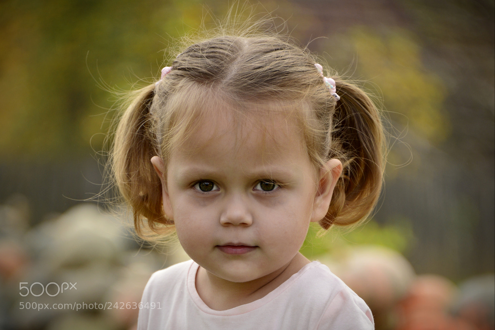 Nikon D610 sample photo. Maja tikve photography