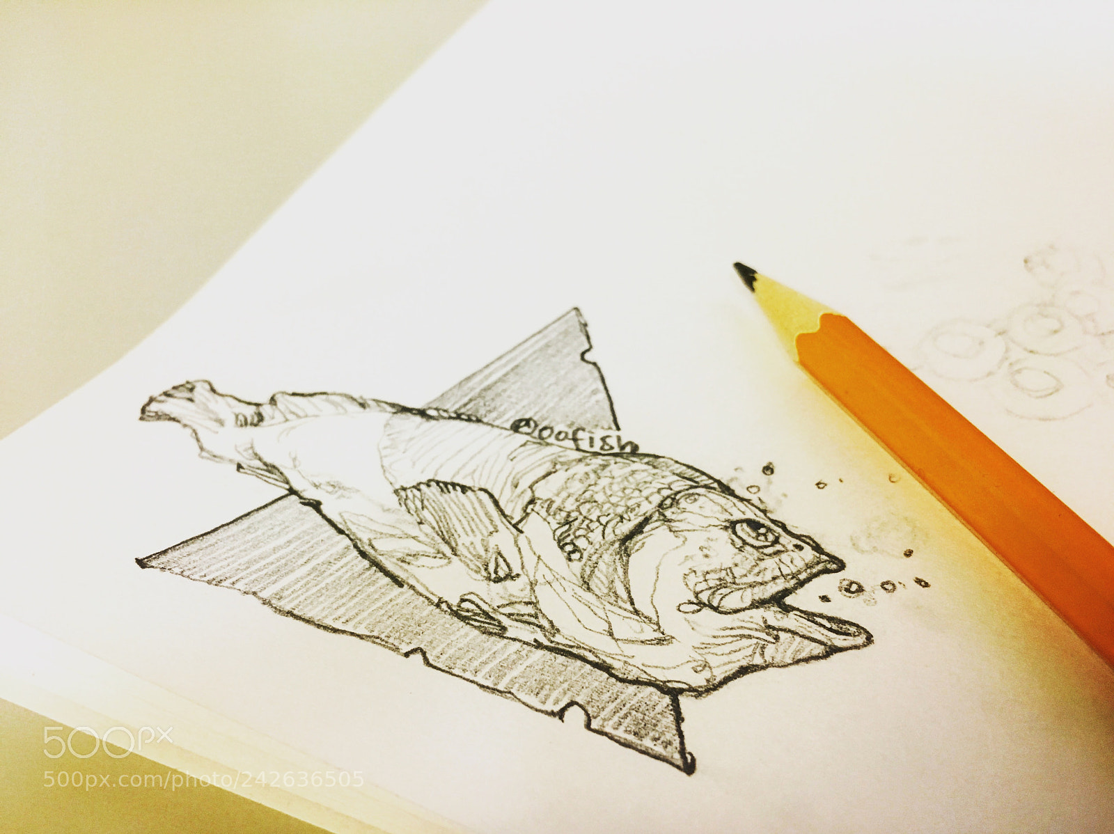Apple iPhone 6s sample photo. Fish with triangle photography
