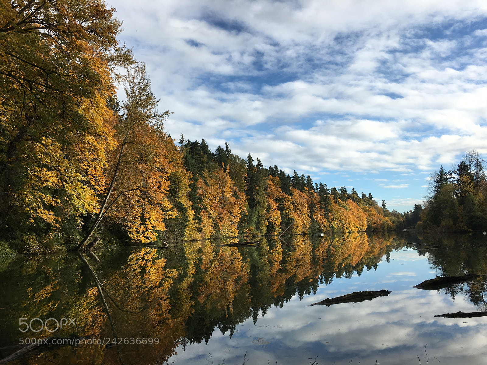 Apple iPhone 6s Plus sample photo. Lake fenwick, wa. photography