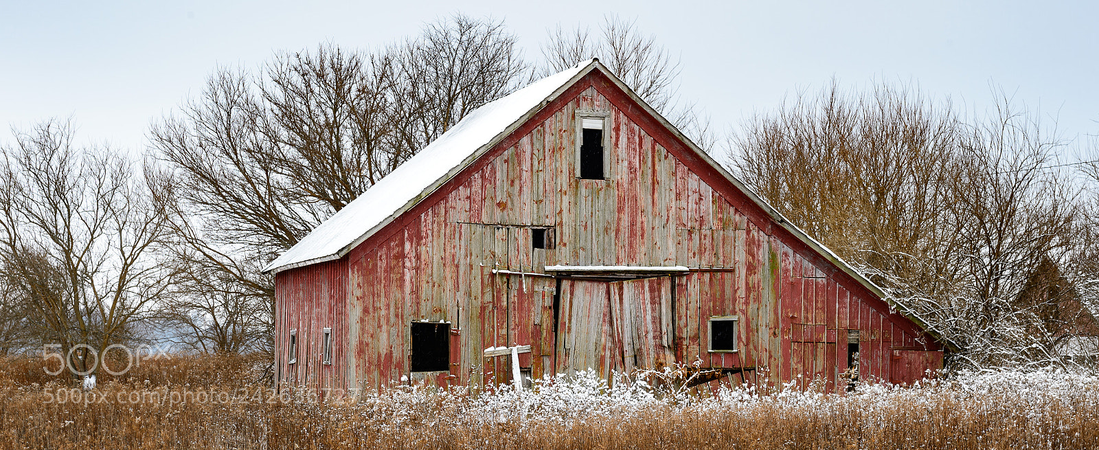 Nikon D4S sample photo. Winter photography
