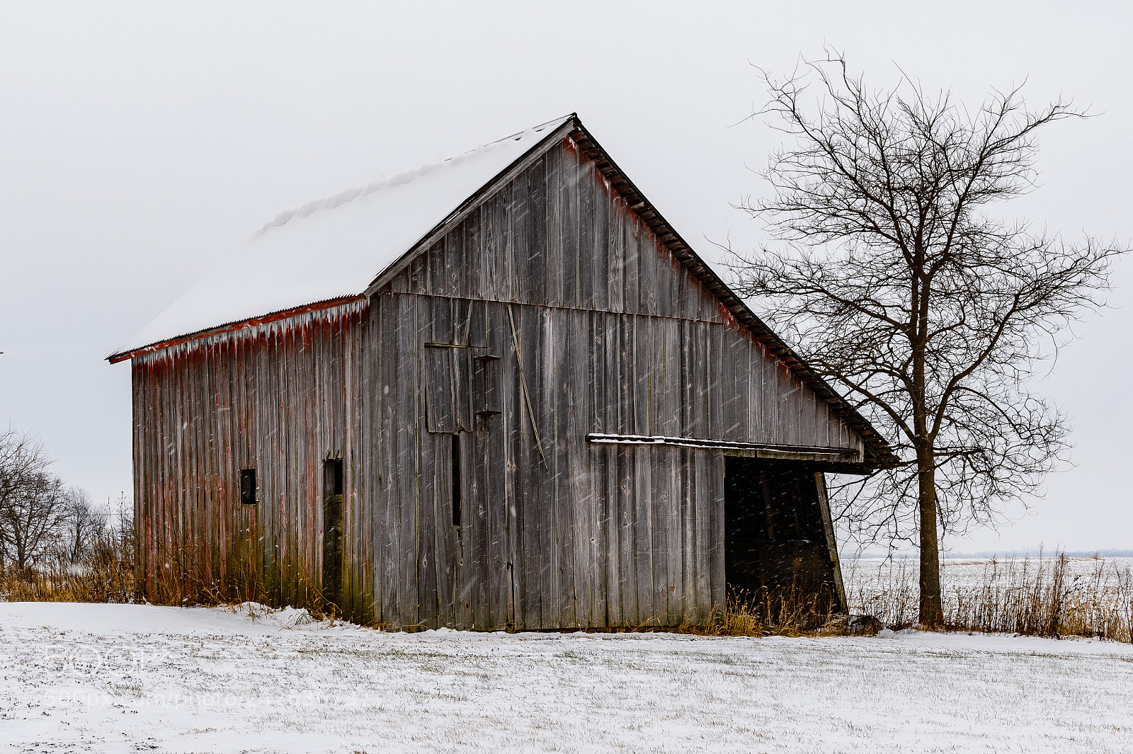 Nikon D4S sample photo. Winter photography