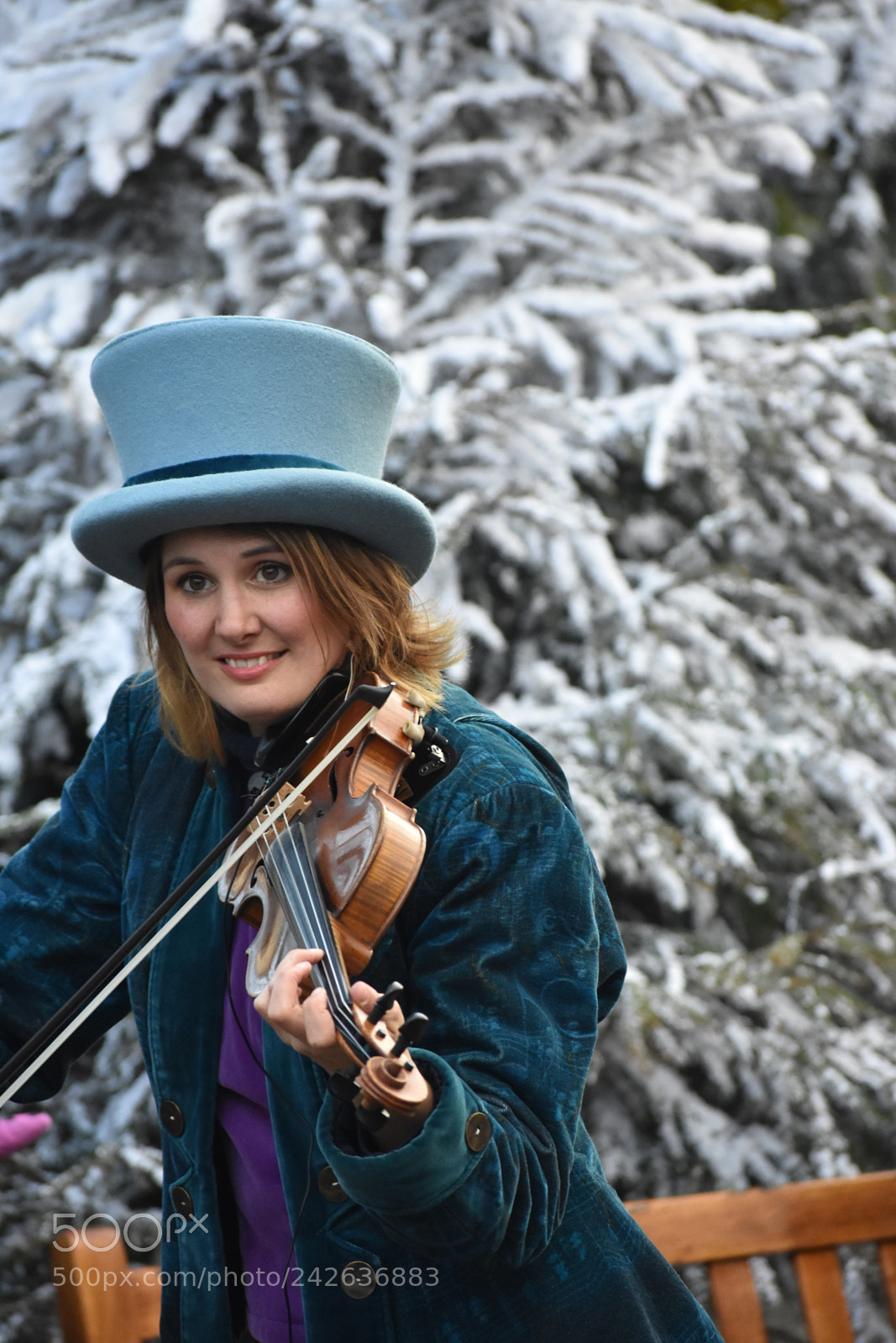 Nikon D3400 sample photo. Winter efteling photography