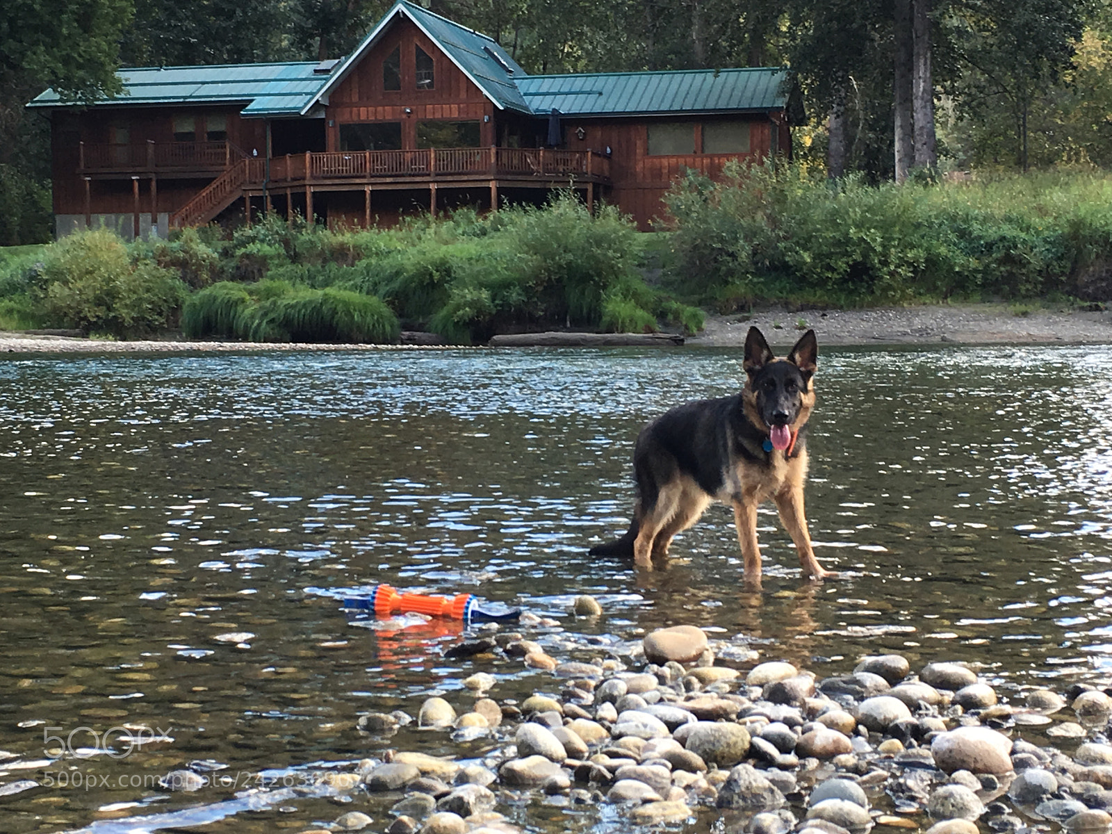 Apple iPhone 6s Plus sample photo. Lola in leavenworth. photography