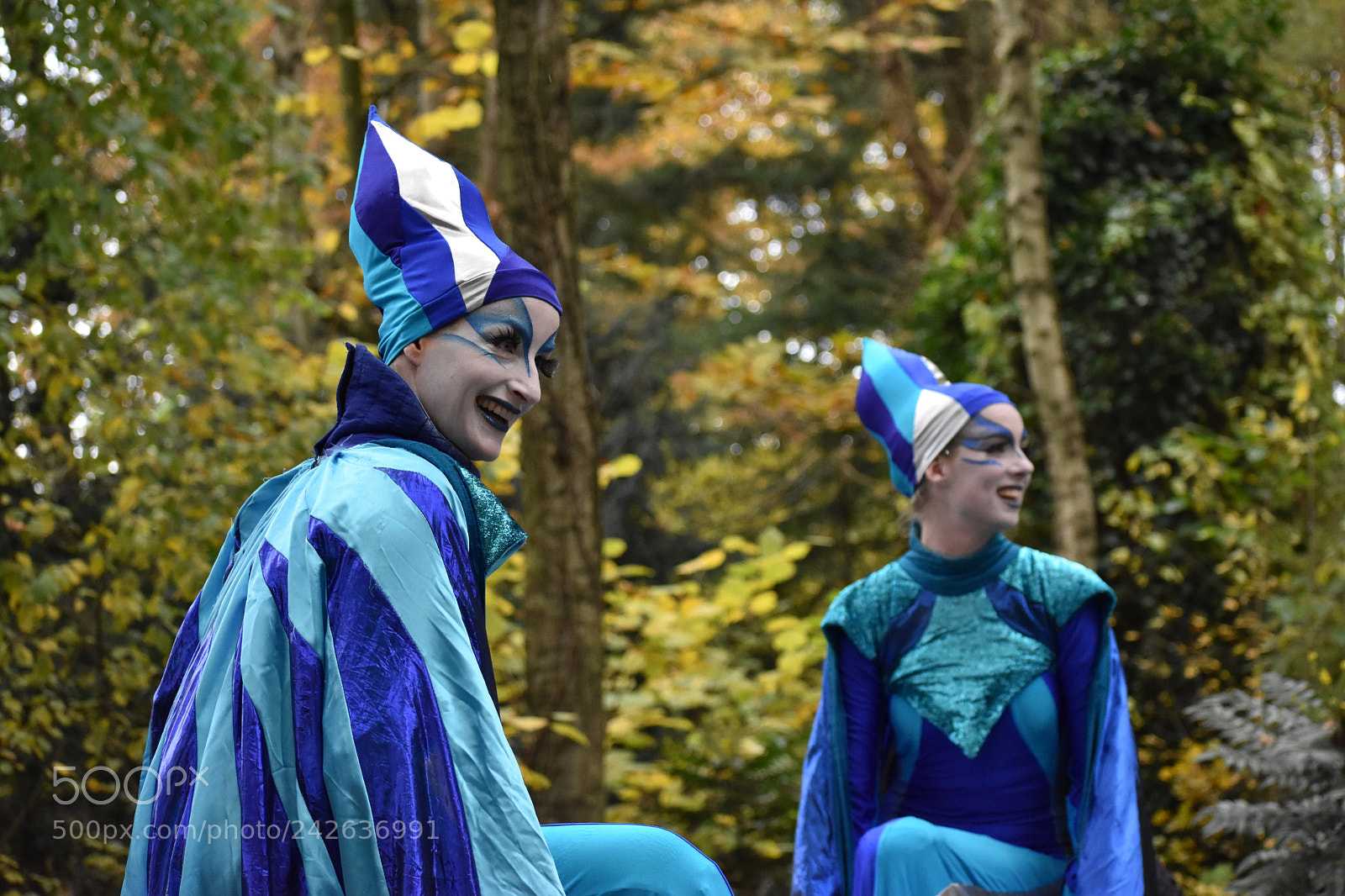 Nikon D3400 sample photo. Winter efteling photography