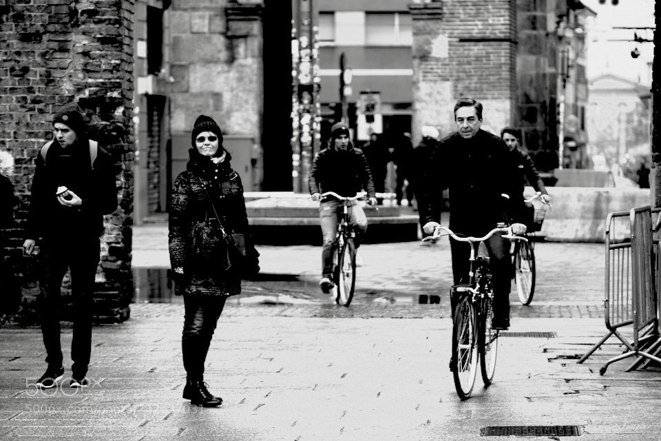 Nikon D500 sample photo. Untitled photography