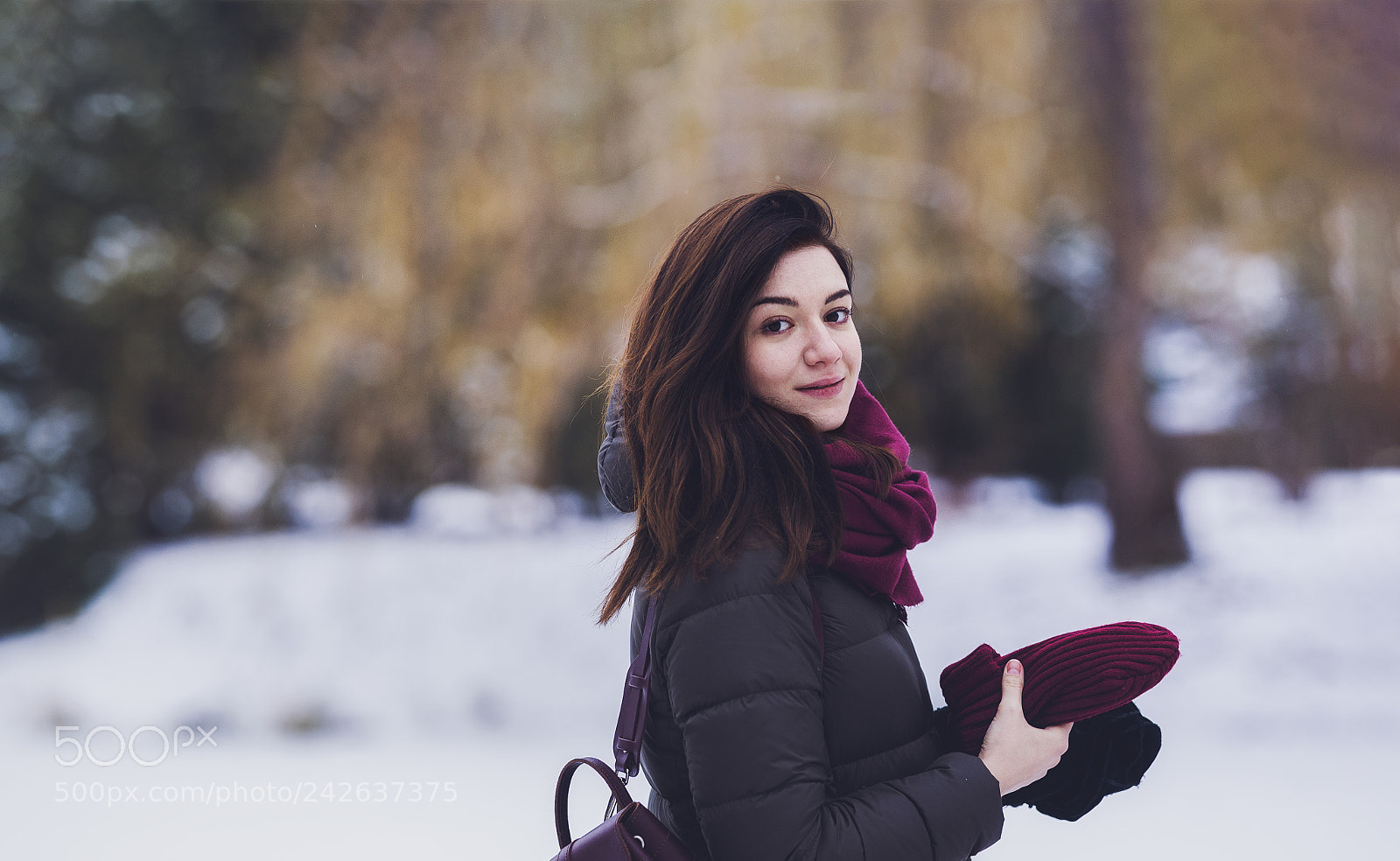 Nikon D700 sample photo. Winter look photography