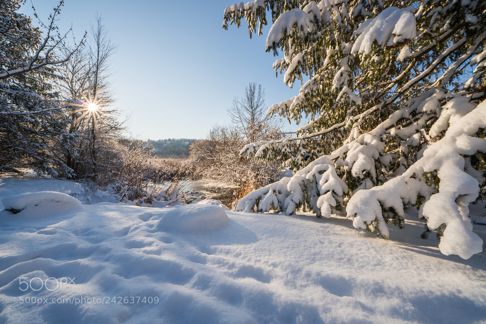 Sony a7R III sample photo. Winter sunstar photography