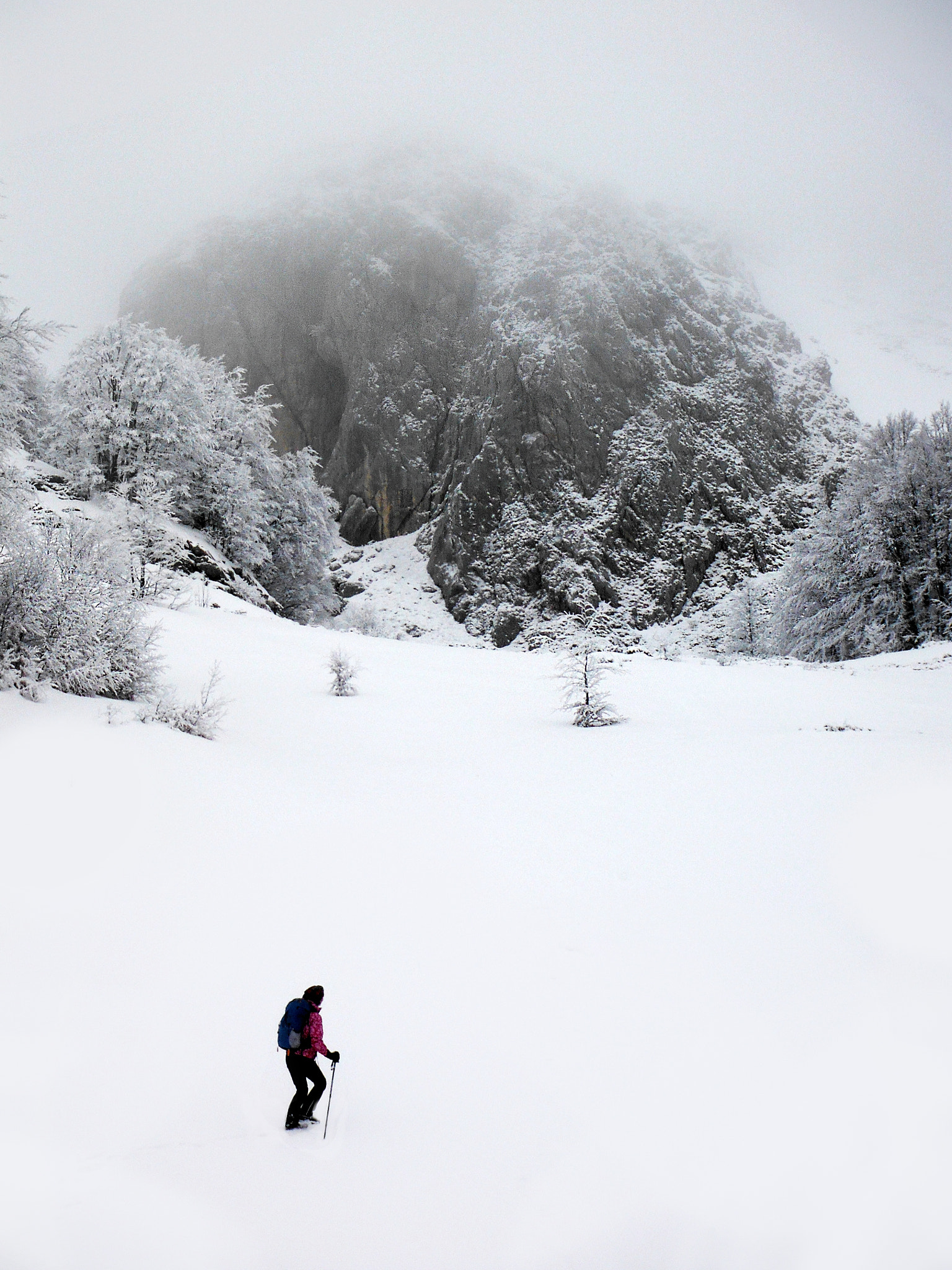 Fujifilm FinePix XP50 sample photo. Over snow by winter sown photography