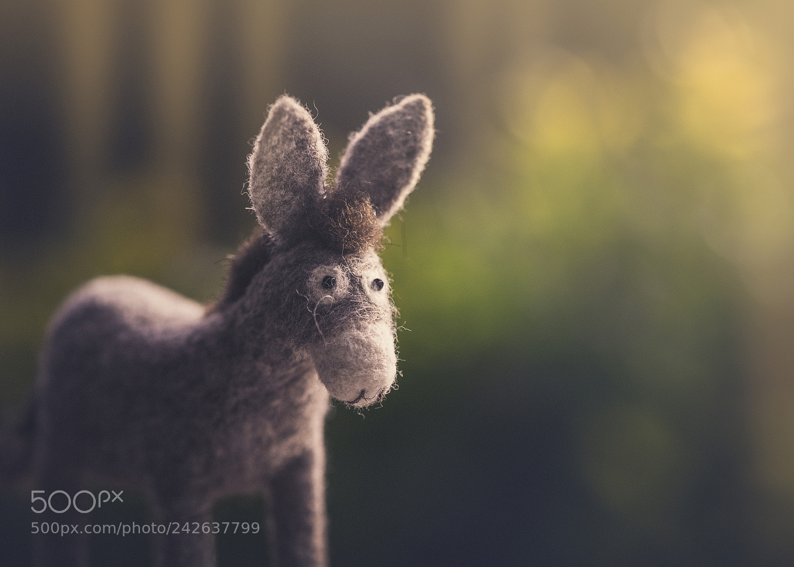 Nikon D600 sample photo. Platero y yo platero photography