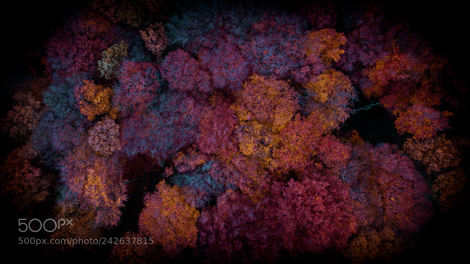 DJI FC220 sample photo. Aerial. stuff from above photography