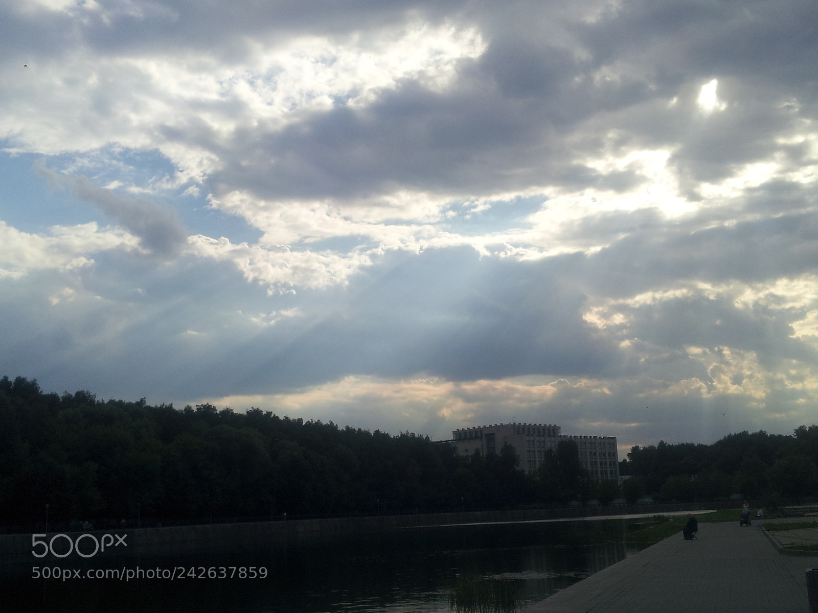 Samsung Galaxy S2 sample photo. Sun rays in park photography