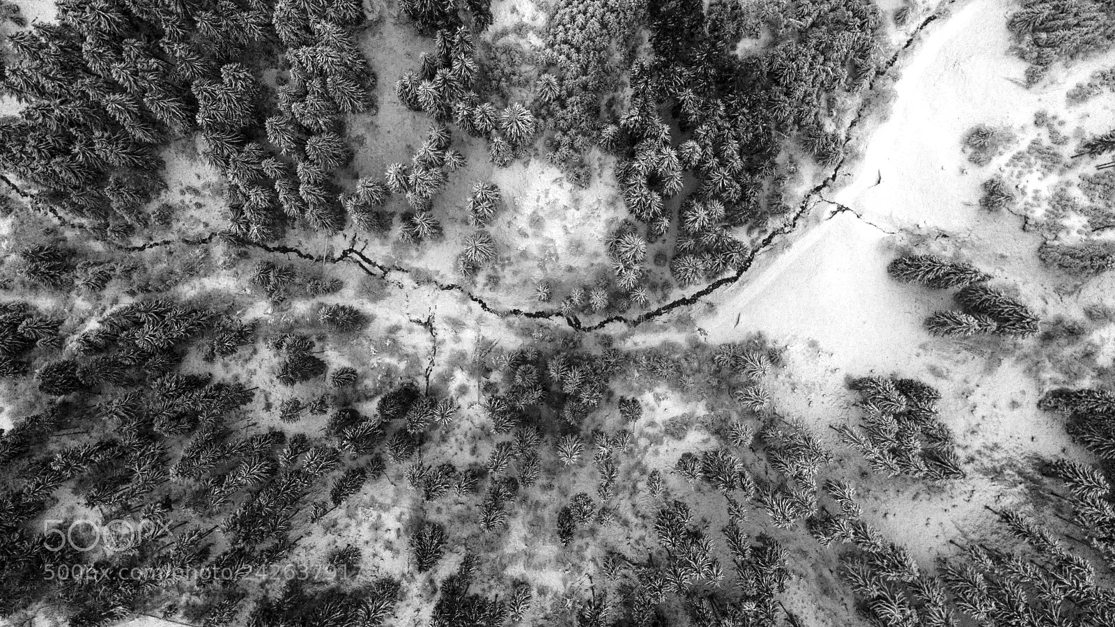 DJI FC220 sample photo. Winter forest photography