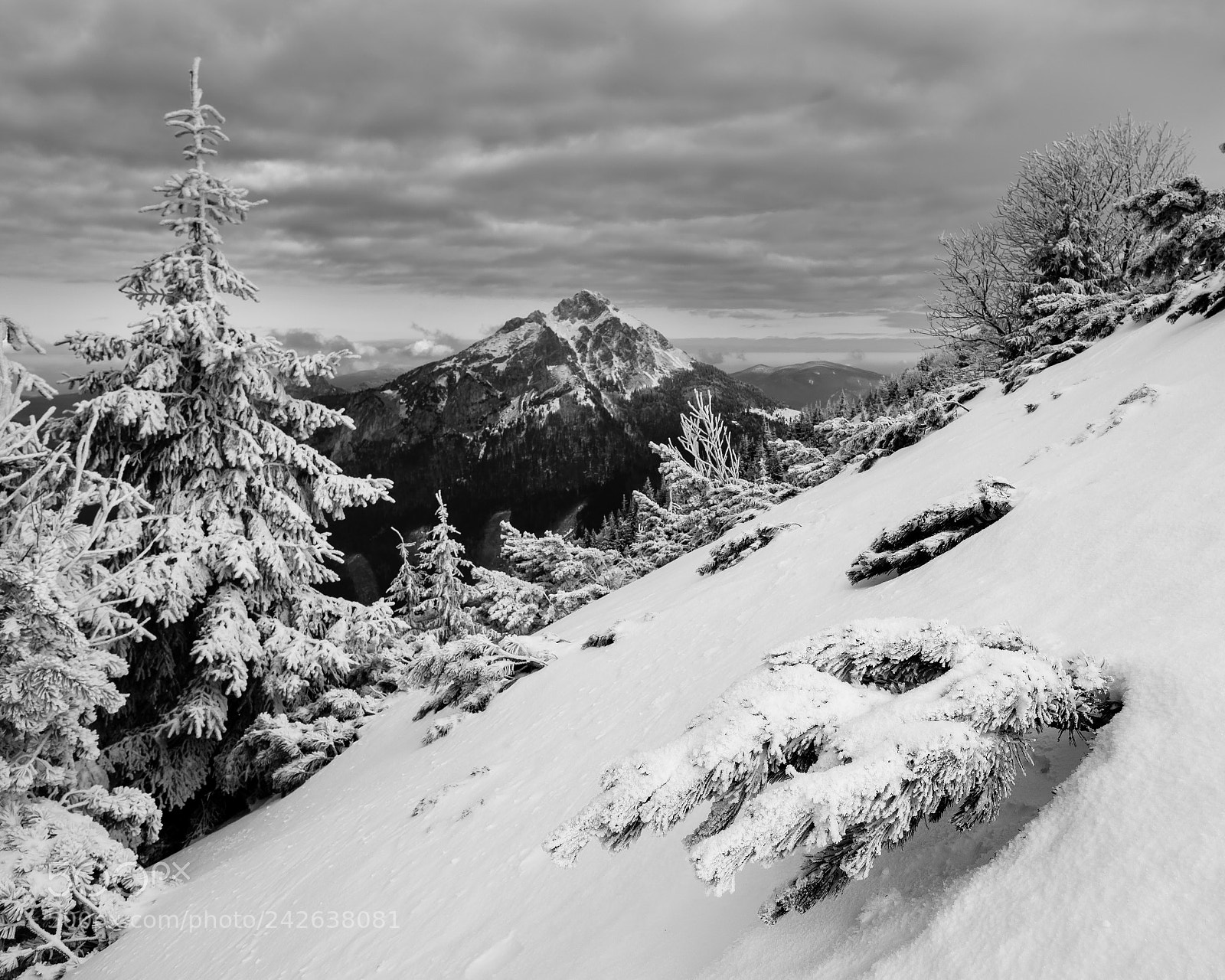 Fujifilm X-T20 sample photo. Rozsutec b&w photography
