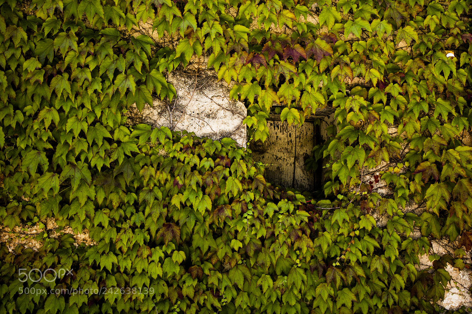 Canon EOS 5DS sample photo. Windows hidden photography
