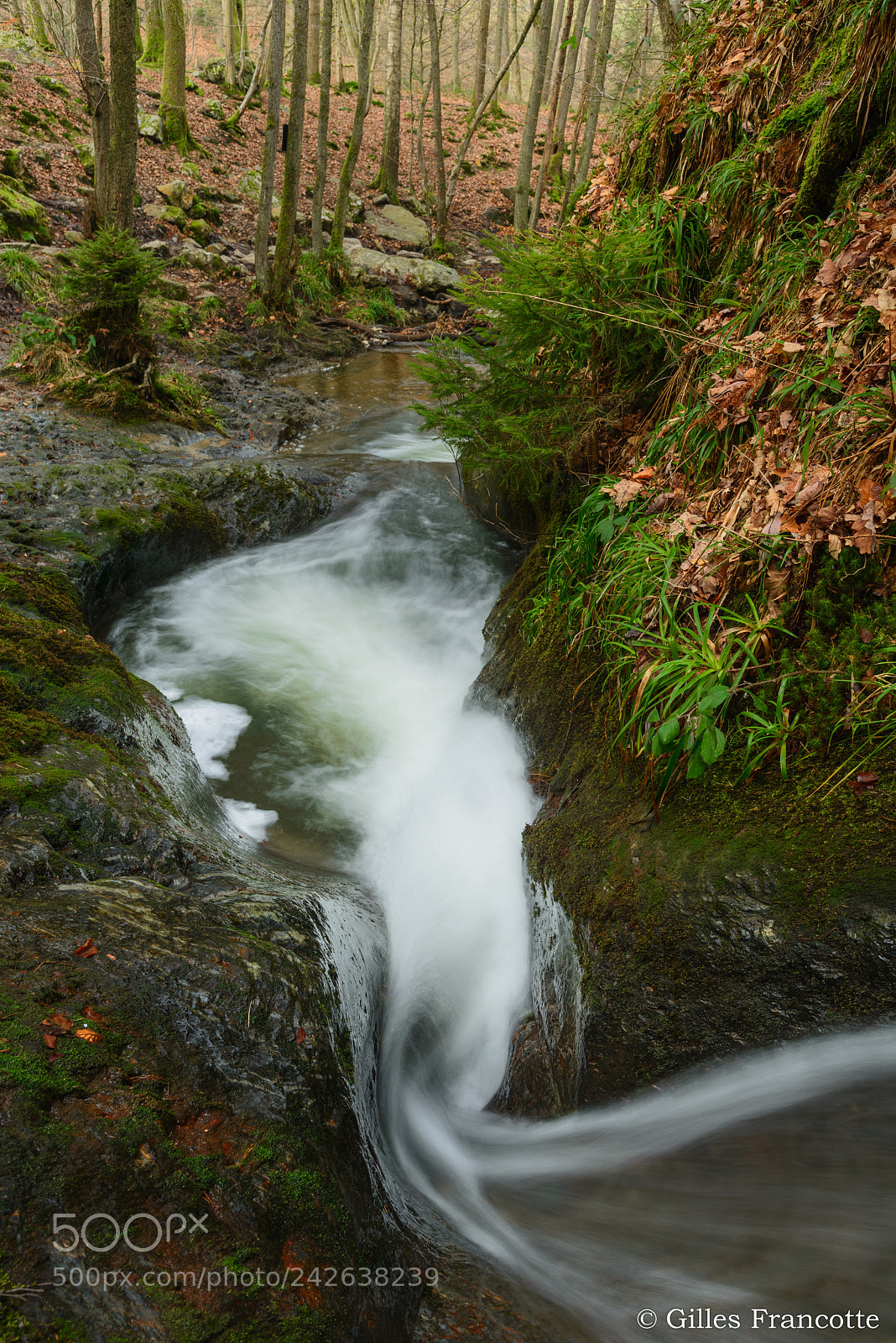Nikon D800 sample photo. Torrent. photography