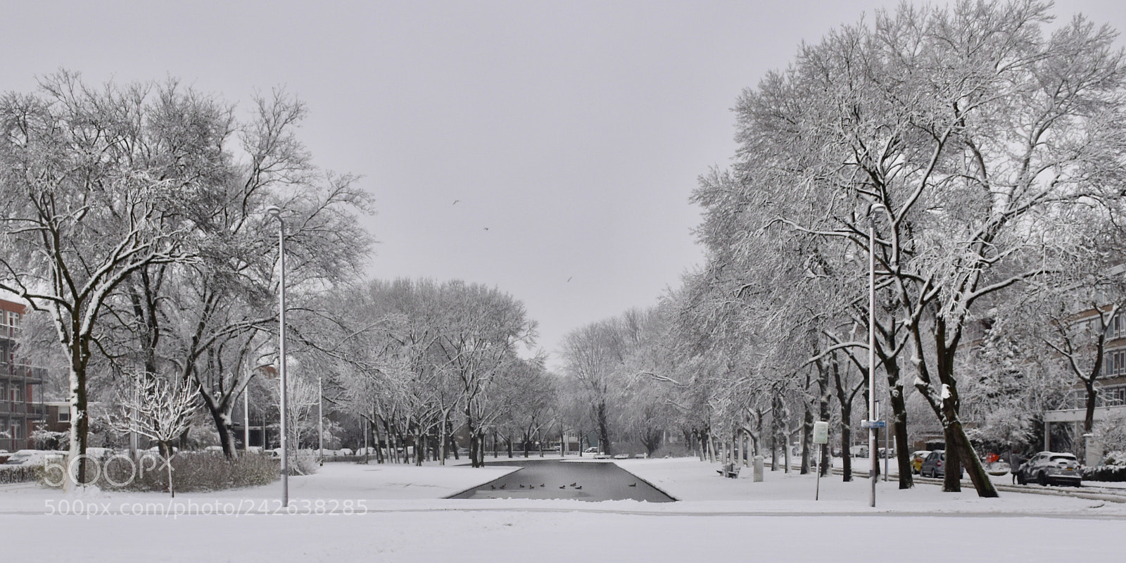 Nikon D5600 sample photo. Winterlandscape photography