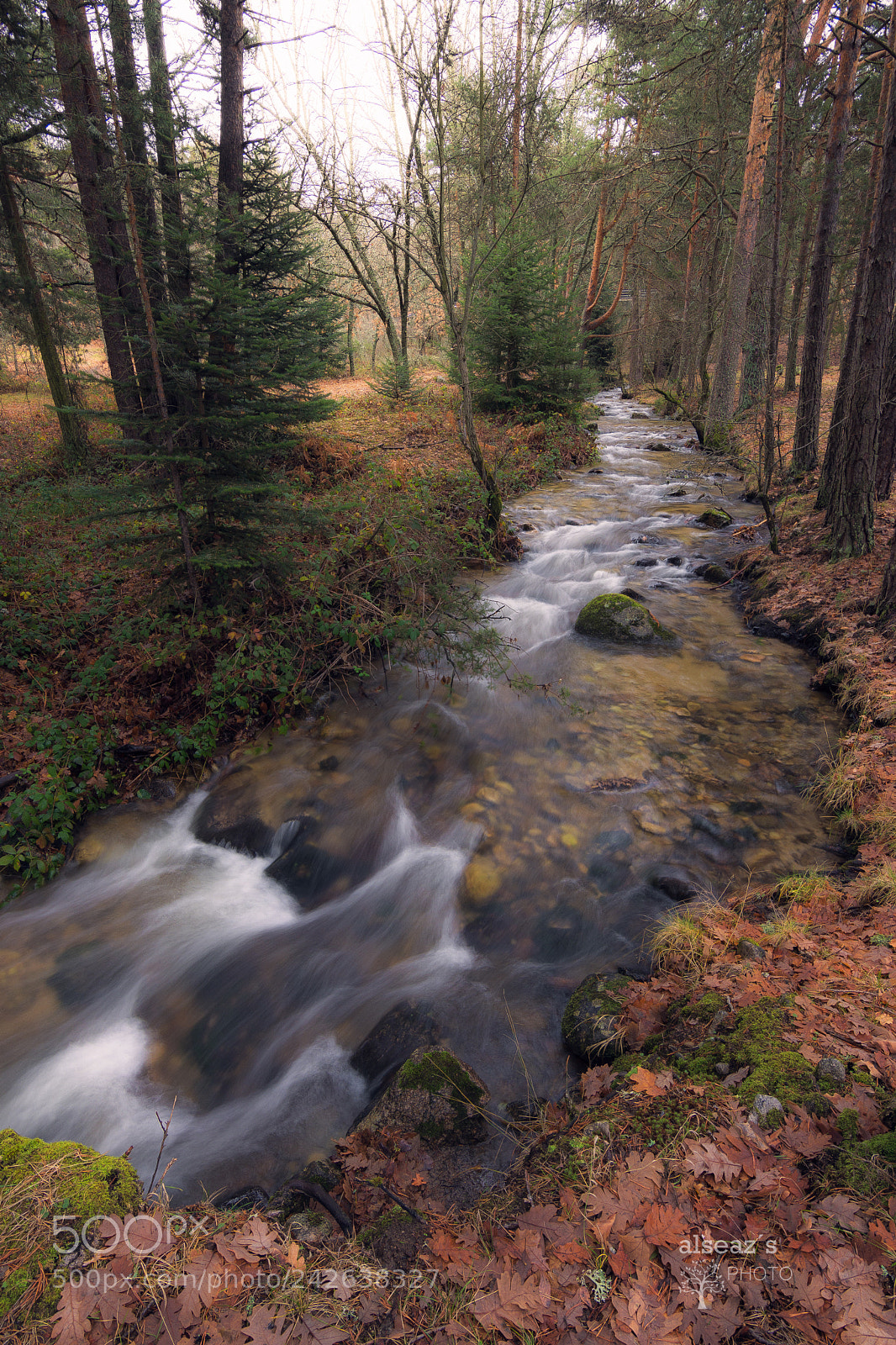 Nikon D7200 sample photo. Arroyo en navacerrada photography