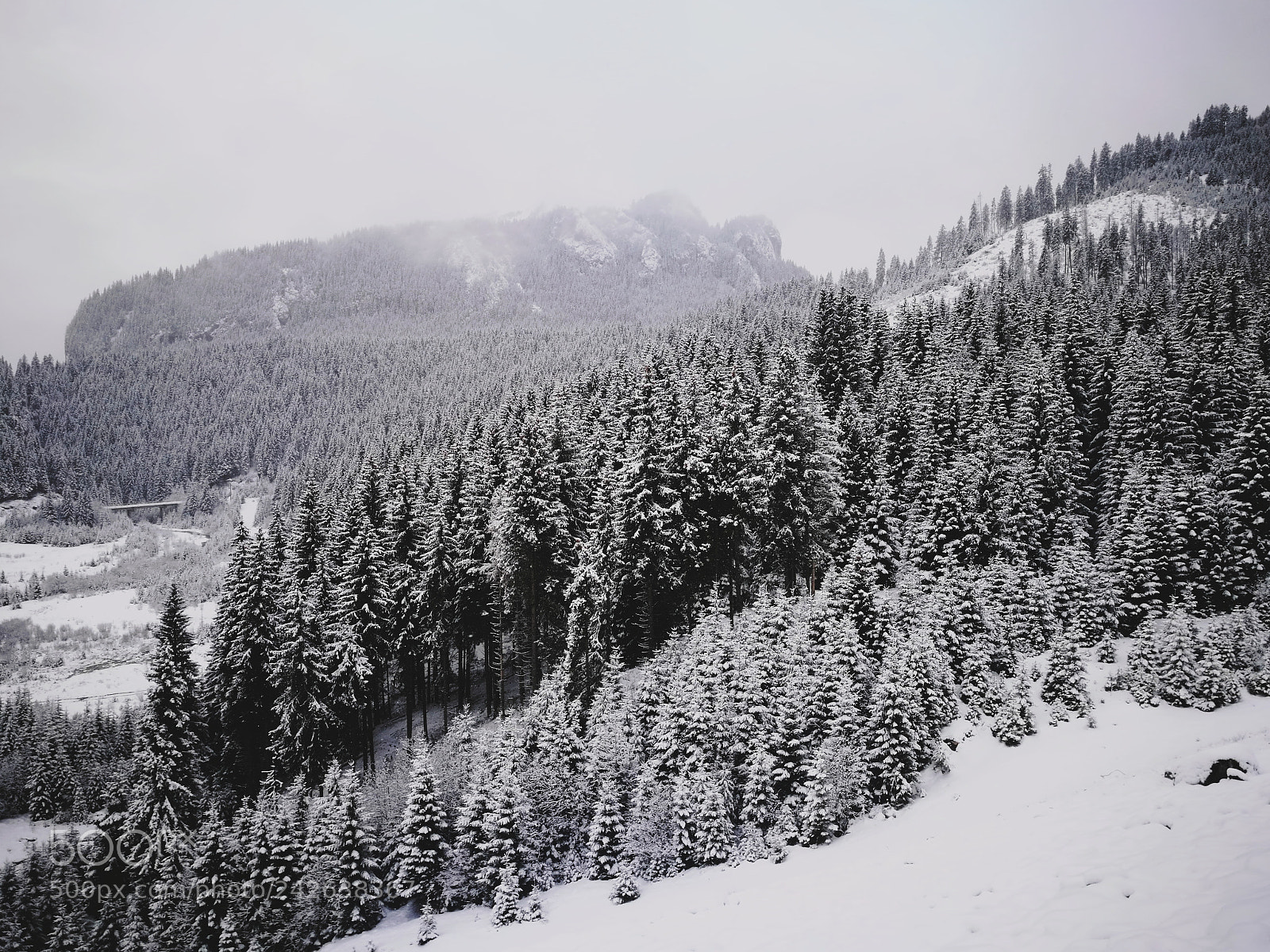 HUAWEI P9 sample photo. Winter wonderland photography