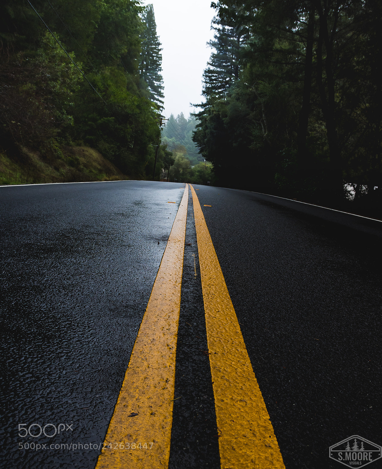 Nikon D7200 sample photo. Highway 9 photography