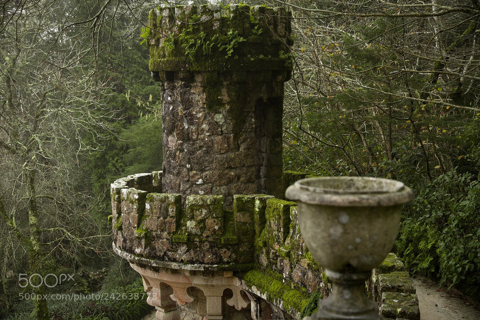 Canon EOS 7D sample photo. Sintra, portugal photography