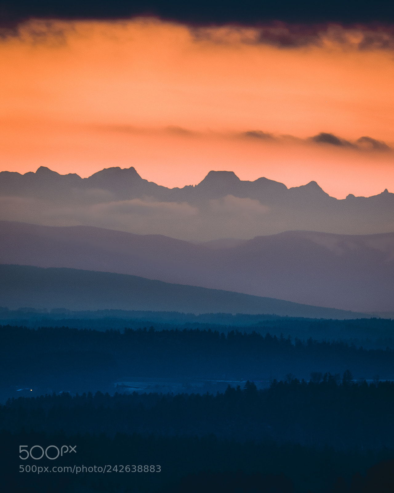 Canon EOS-1D Mark III sample photo. Layers photography
