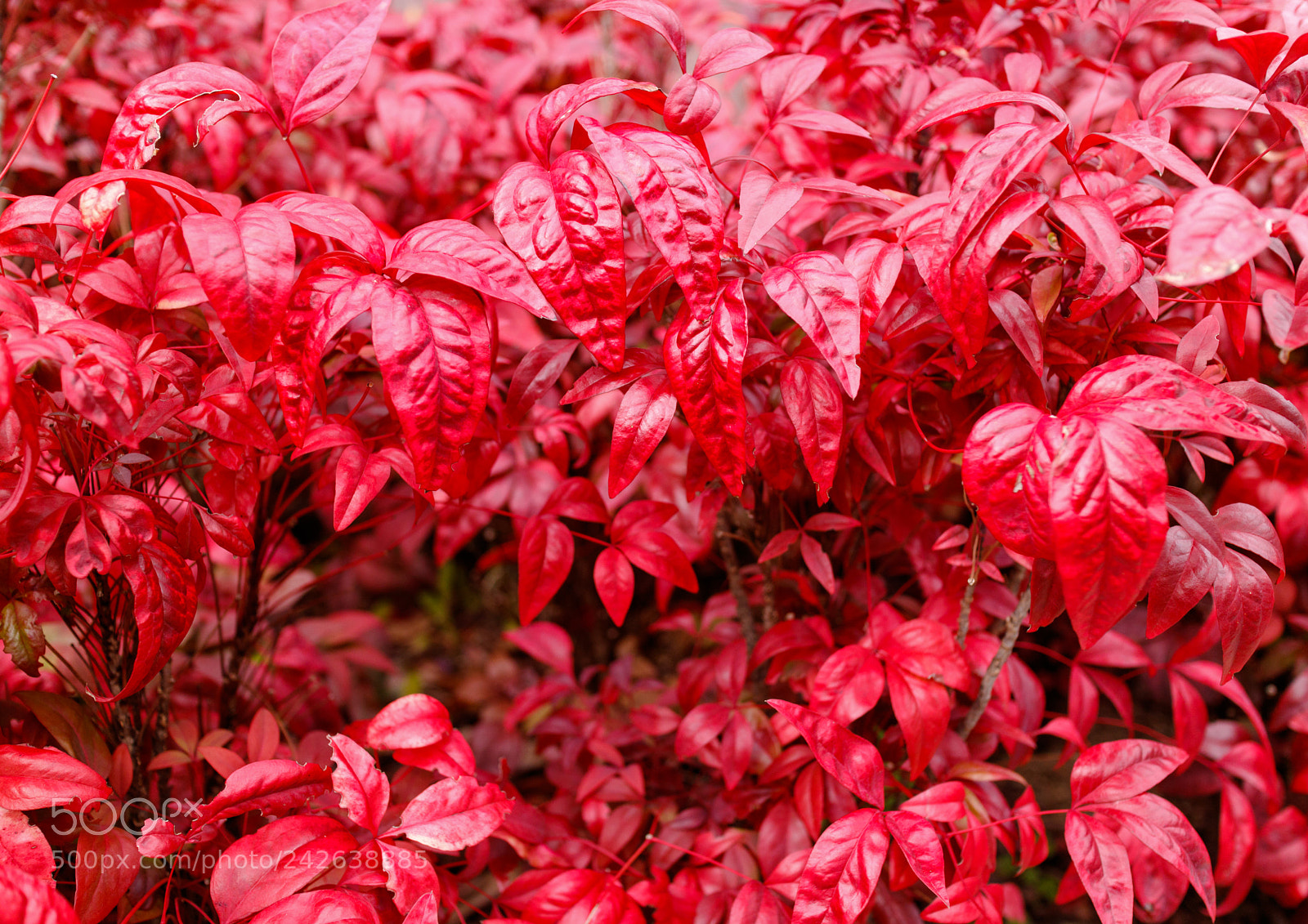 Canon EOS M3 sample photo. At the corner photography
