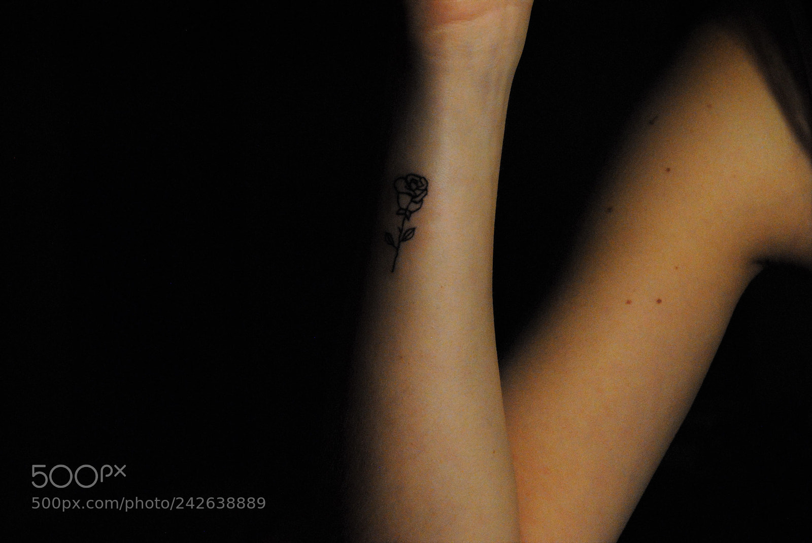 Nikon D3000 sample photo. Tiny rose photography