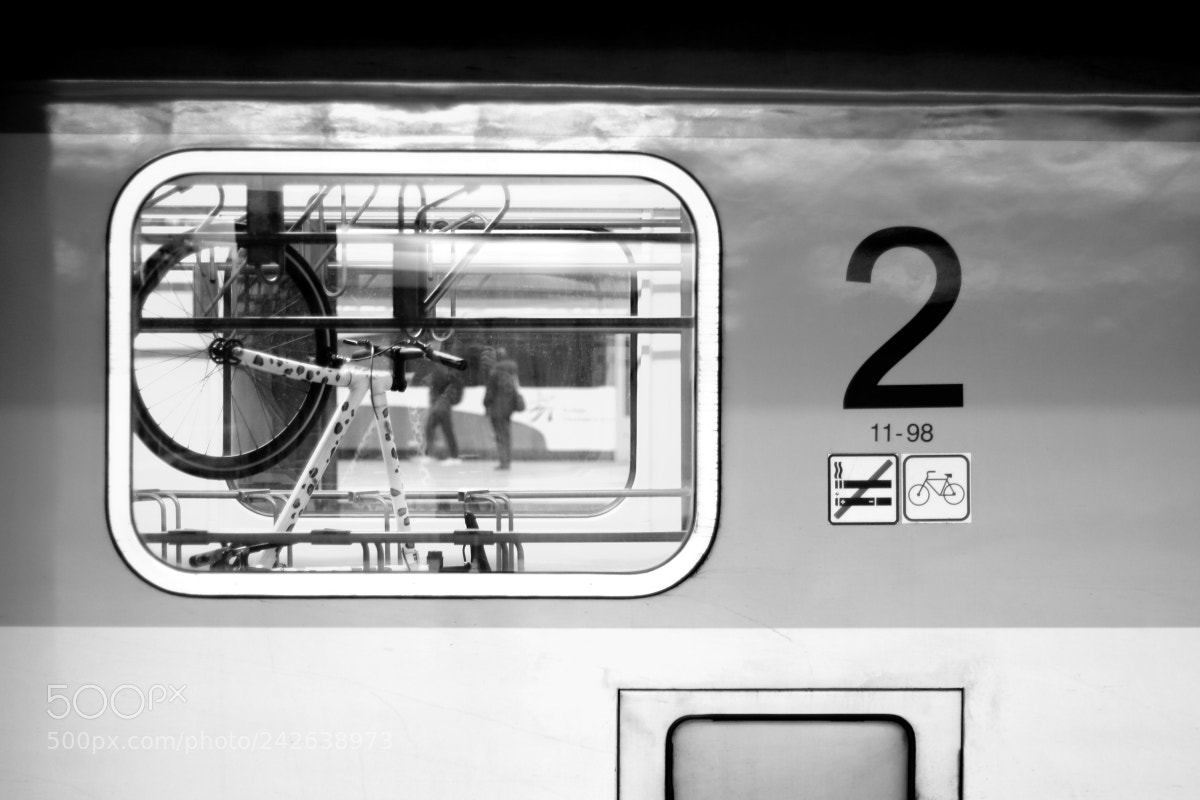 Canon EOS 70D + Canon EF 50mm F1.8 II sample photo. Untitled photography