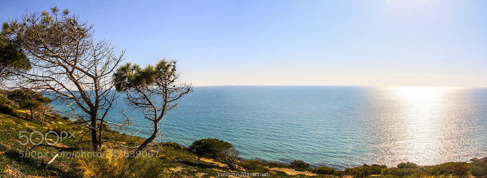 Canon EOS 60D sample photo. The lonely tree photography