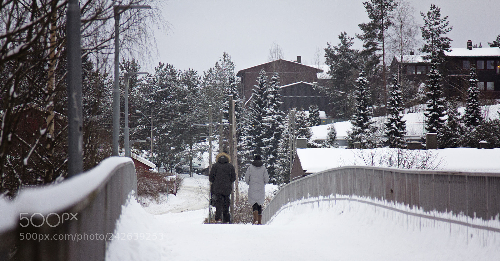 Canon EOS 60D sample photo. A walk in the photography