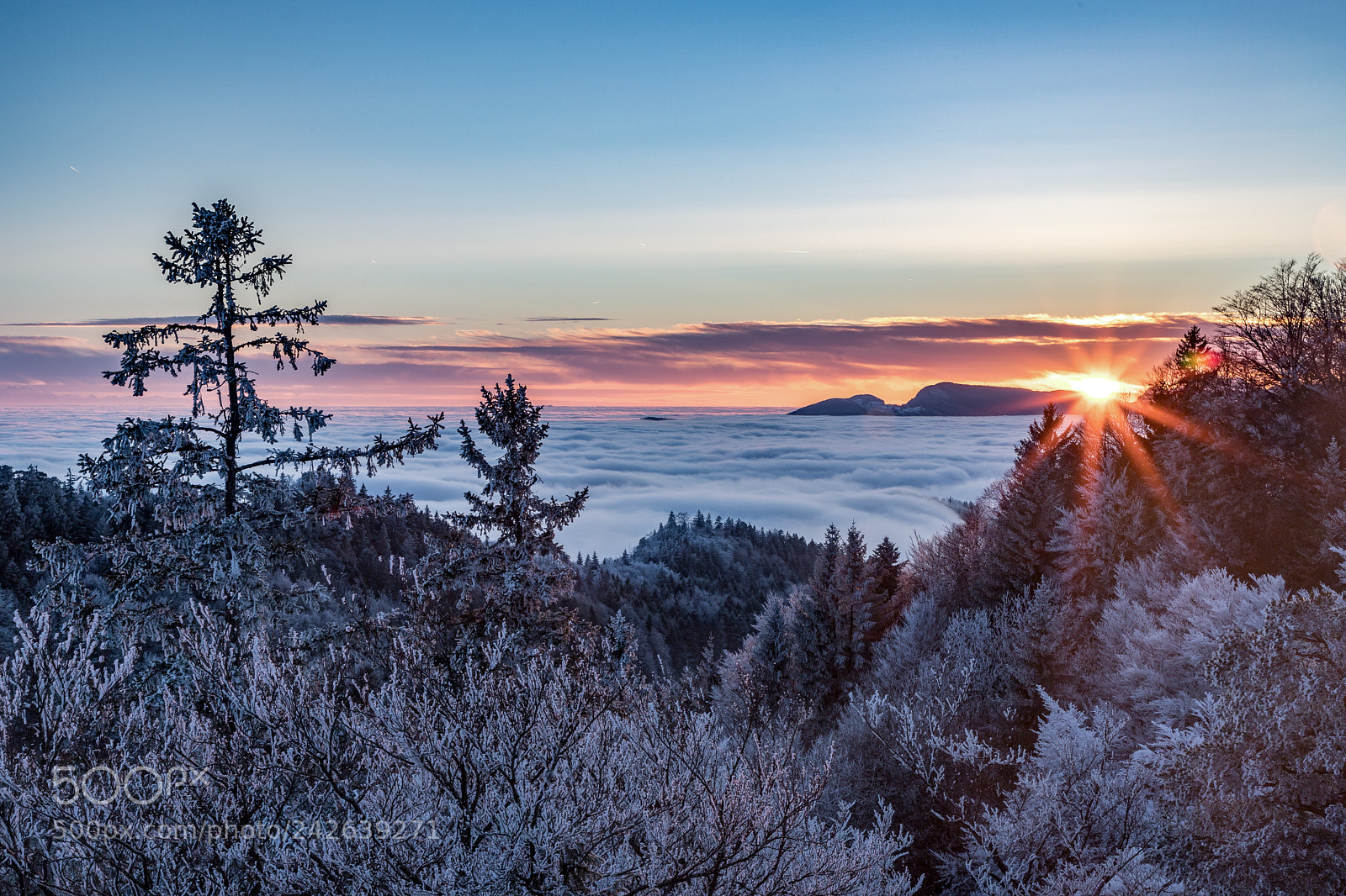 Canon EOS 6D Mark II sample photo. Winter sunset photography