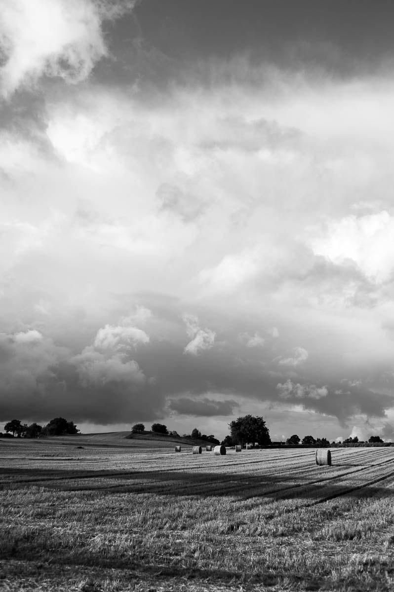 Leica M9 + Leica Summicron-M 35mm F2 ASPH sample photo. Fields maglehem photography