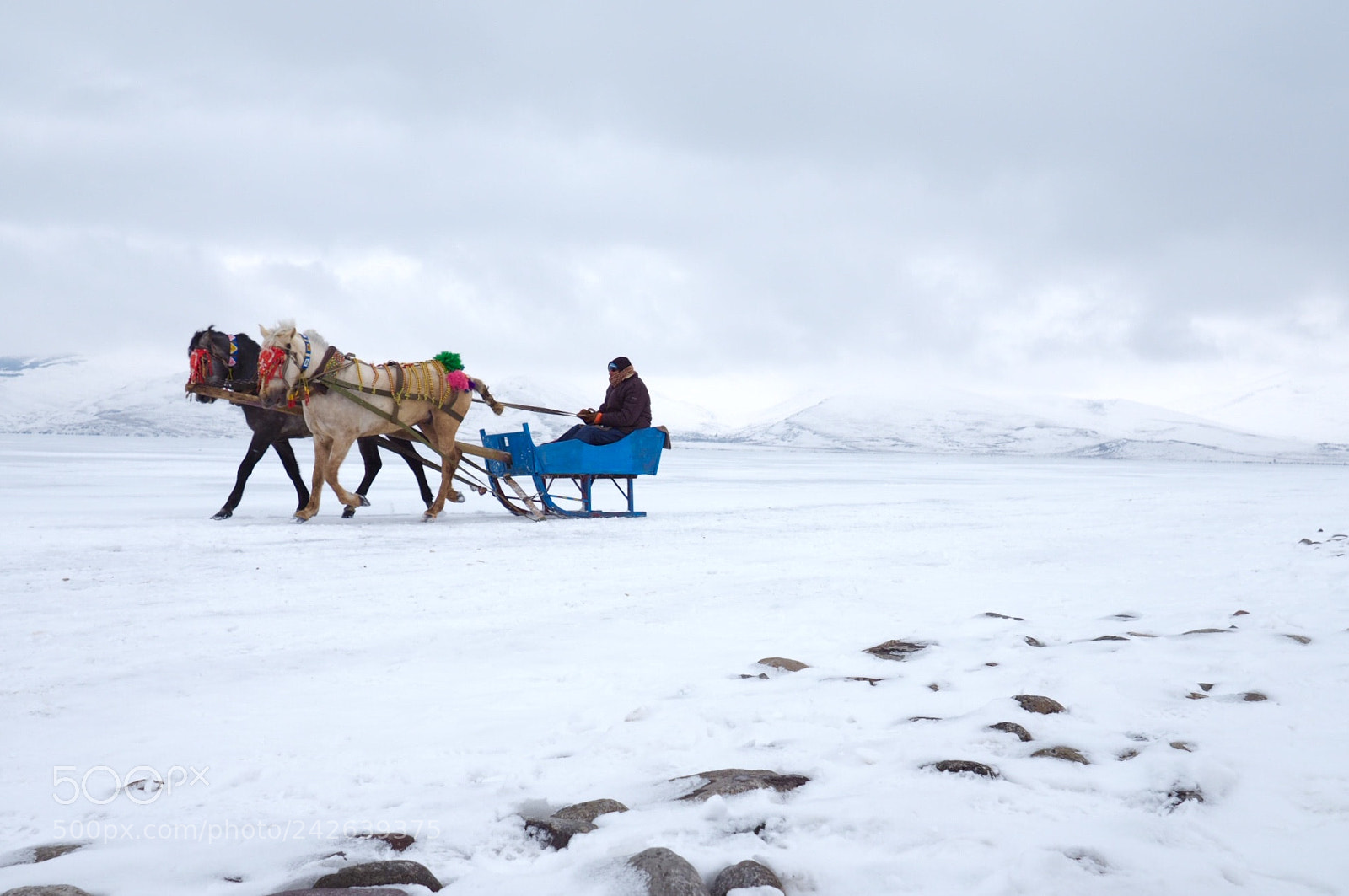 Olympus OM-D E-M1 Mark II sample photo. Ld r lake kars photography