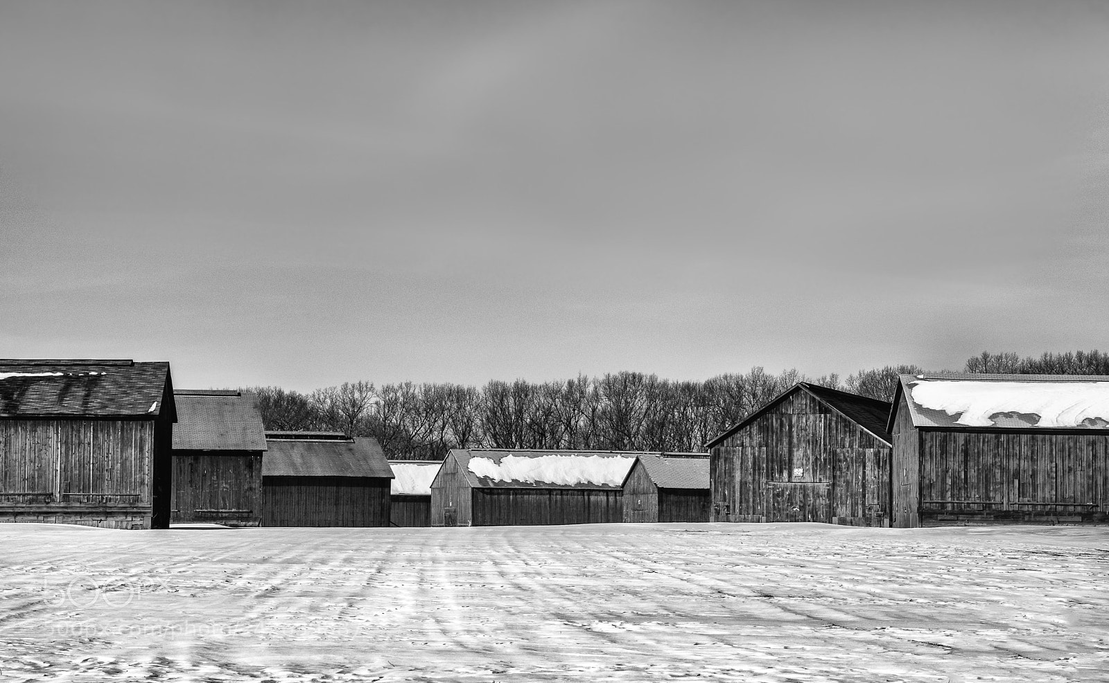 Canon EOS M5 sample photo. Tobacco road photography