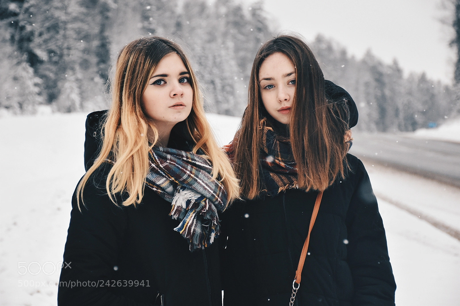Nikon D5600 sample photo. Untitled photography