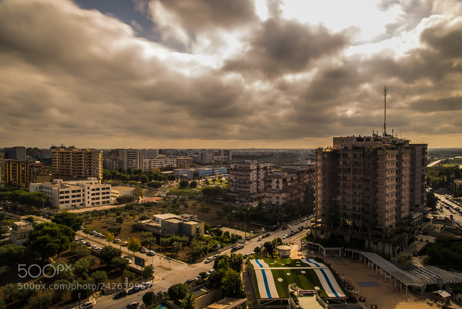 Nikon D610 sample photo. Bari goes out photography