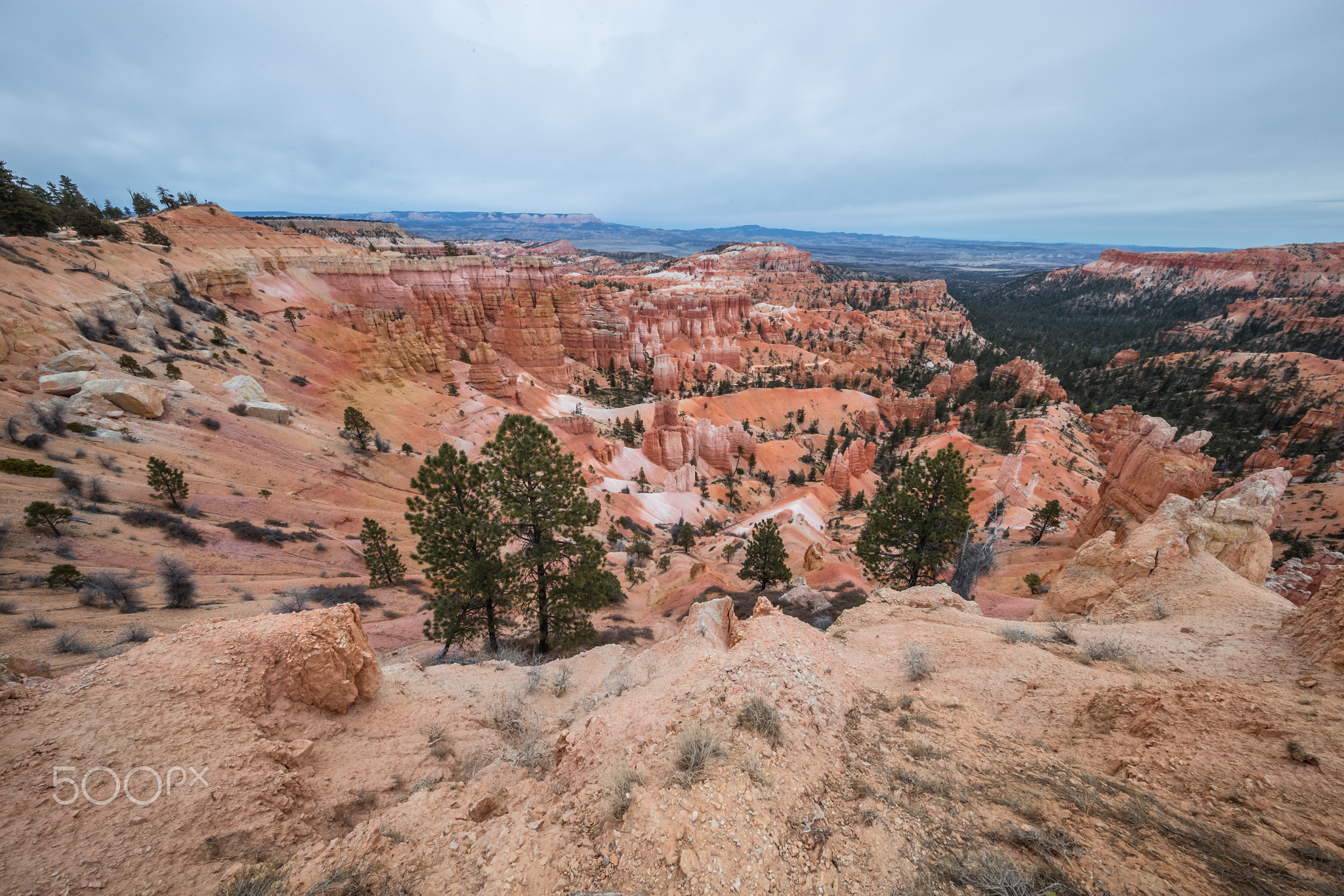 Bryce Canyon in the Evening