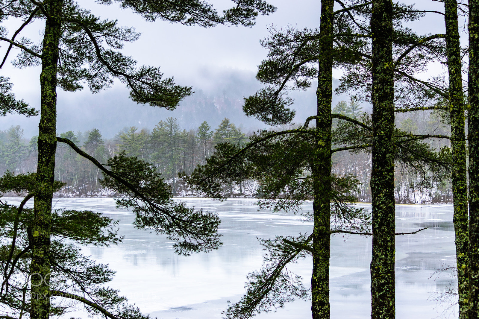 Nikon D5500 sample photo. Frozen clemons pond photography