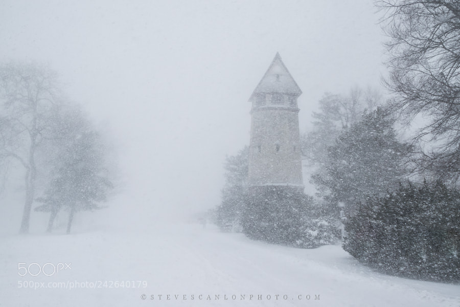 Nikon D5500 sample photo. White out photography