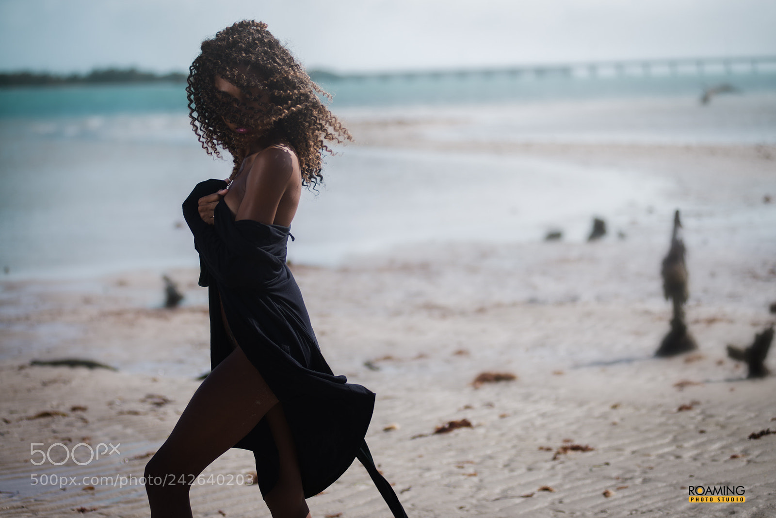 Nikon D600 sample photo. Wind swept... photography