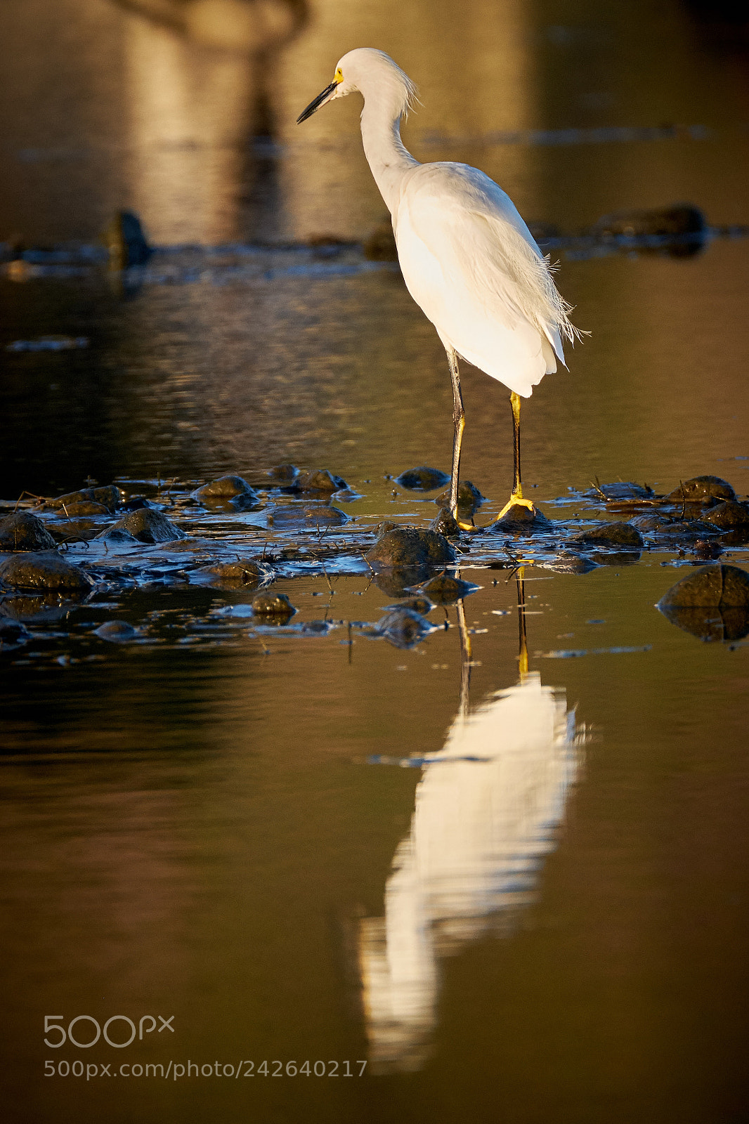 Fujifilm X-T2 sample photo. Malibu lagoon photography