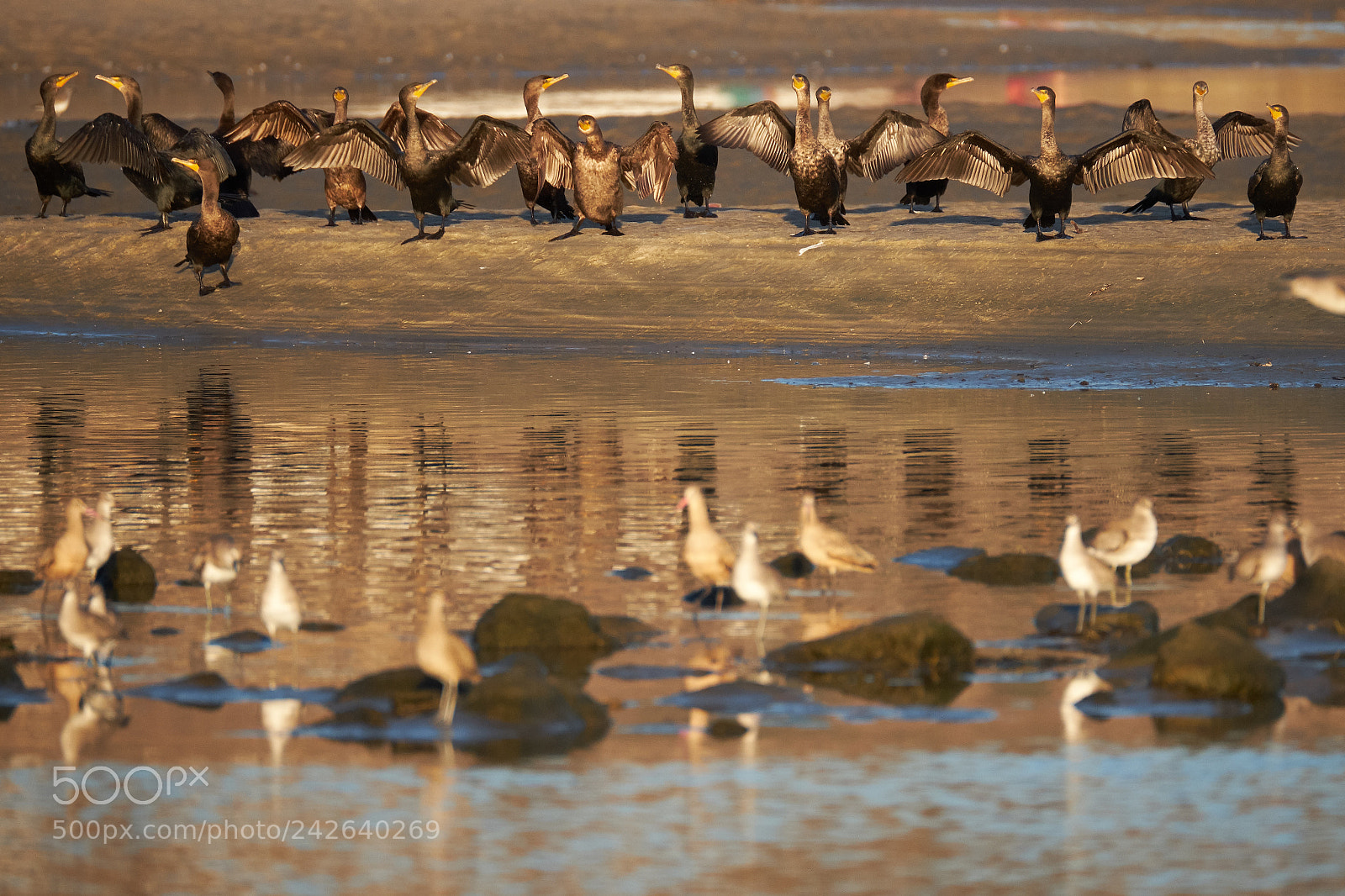 Fujifilm X-T2 sample photo. Malibu lagoon photography